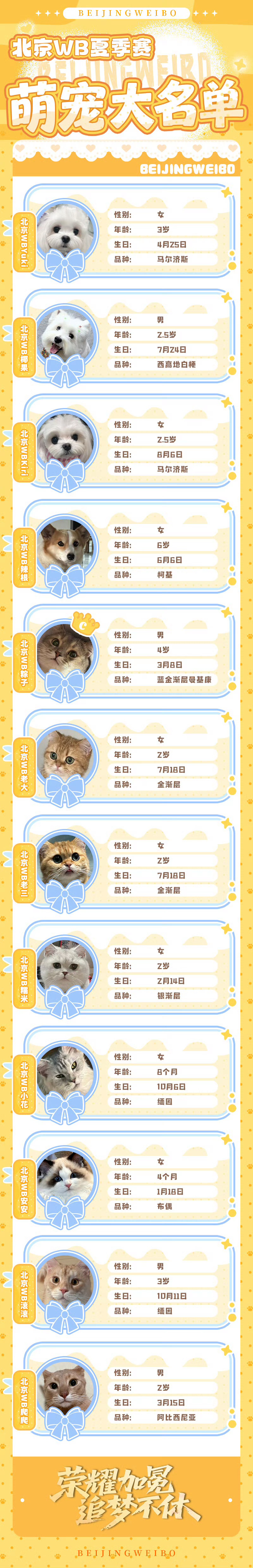 2026KPL夏季赛大名单要夺了有感觉吗😼🐶KPL