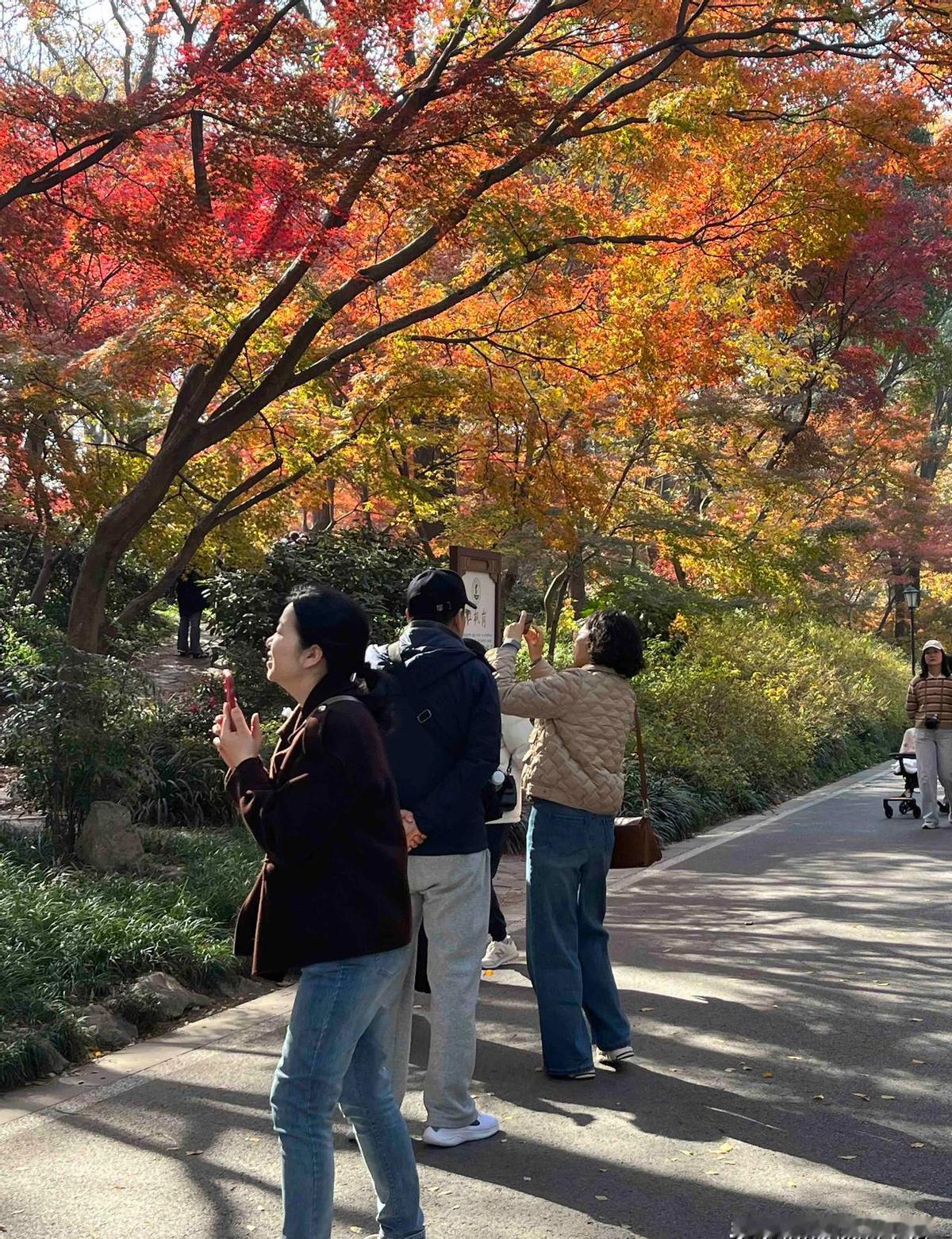 六十岁，存款是你的底气，不是谁的施舍。
会做饭，能修灯，自己能站稳，比求人强一百