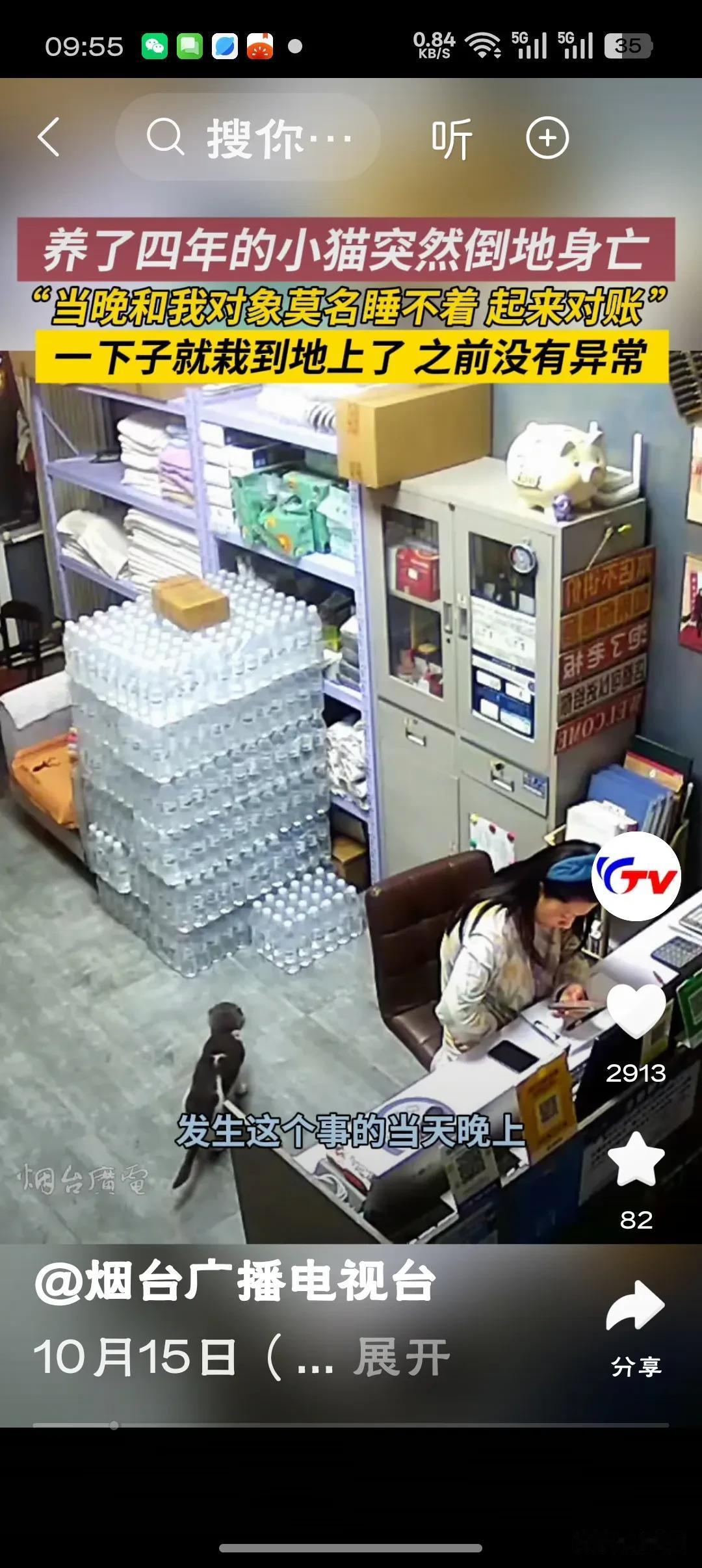 猫咪临终前蹭头求摸，那不仅是撒娇，更是一封用身体写就的遗嘱。它用尽最后的力气，将