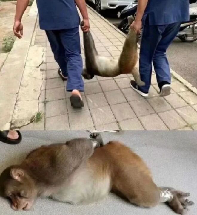 《谁爱上班就逮捕谁》 ​​​