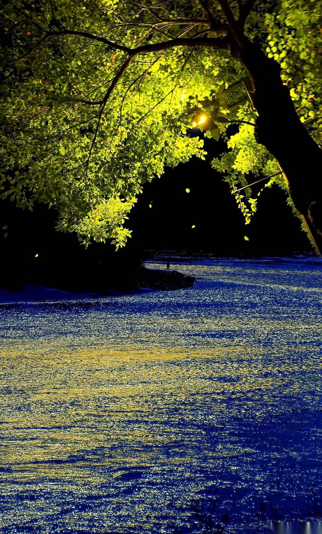 别去相信“读完三本书就能逆袭”的鬼话。书架上的纸张，永远不会在半夜变成钞票，悄悄