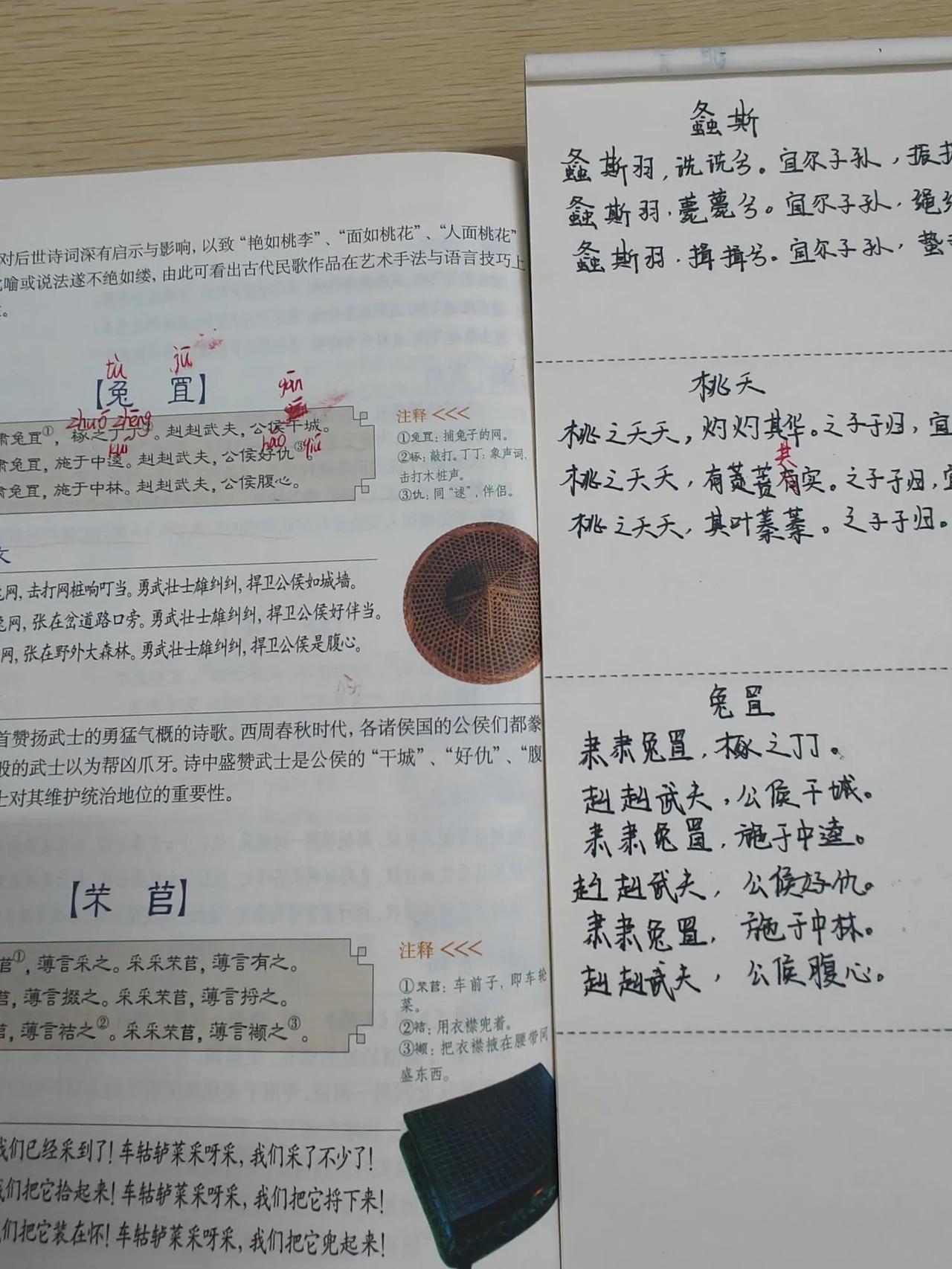抄书打卡第39天，诗经《兔罝》，这是一首称赞武士的诗歌。