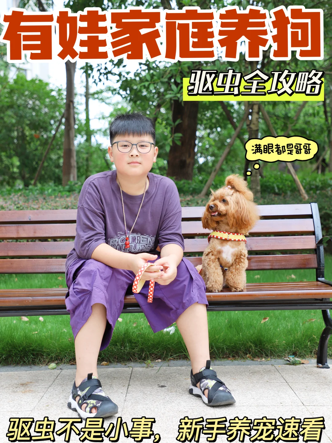 有娃家庭养狗驱虫全攻略~新手爸妈必看！
