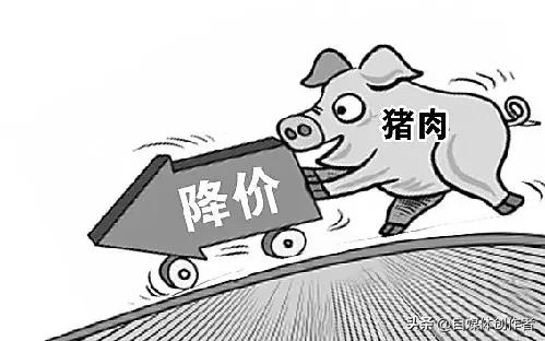 成都猪肉价大跳水？7元/斤的背后，这些坑别踩
 
2026年3月成都猪肉市场突然