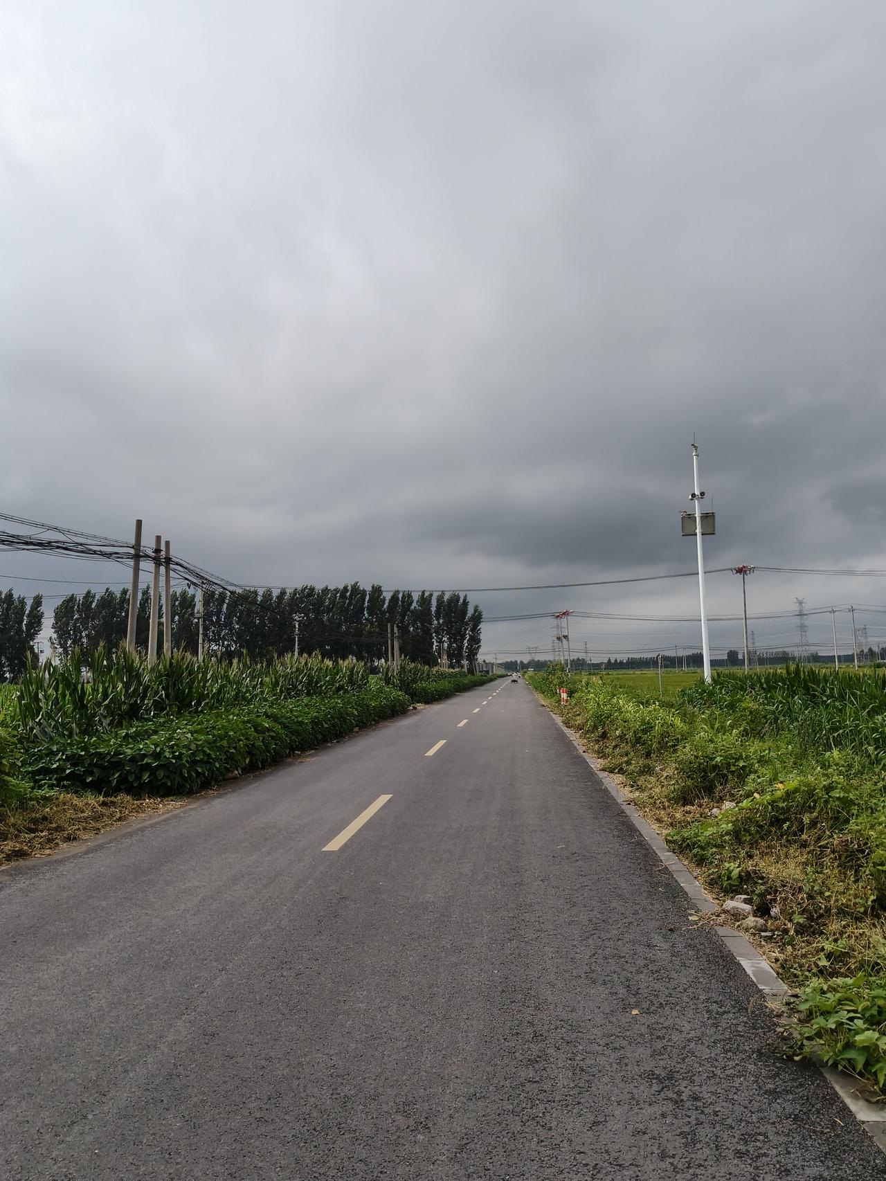 天津最终还是下雨了🌧️，这场雨终于下在了天津，从昨天的闷热到今天的凉爽，这两天