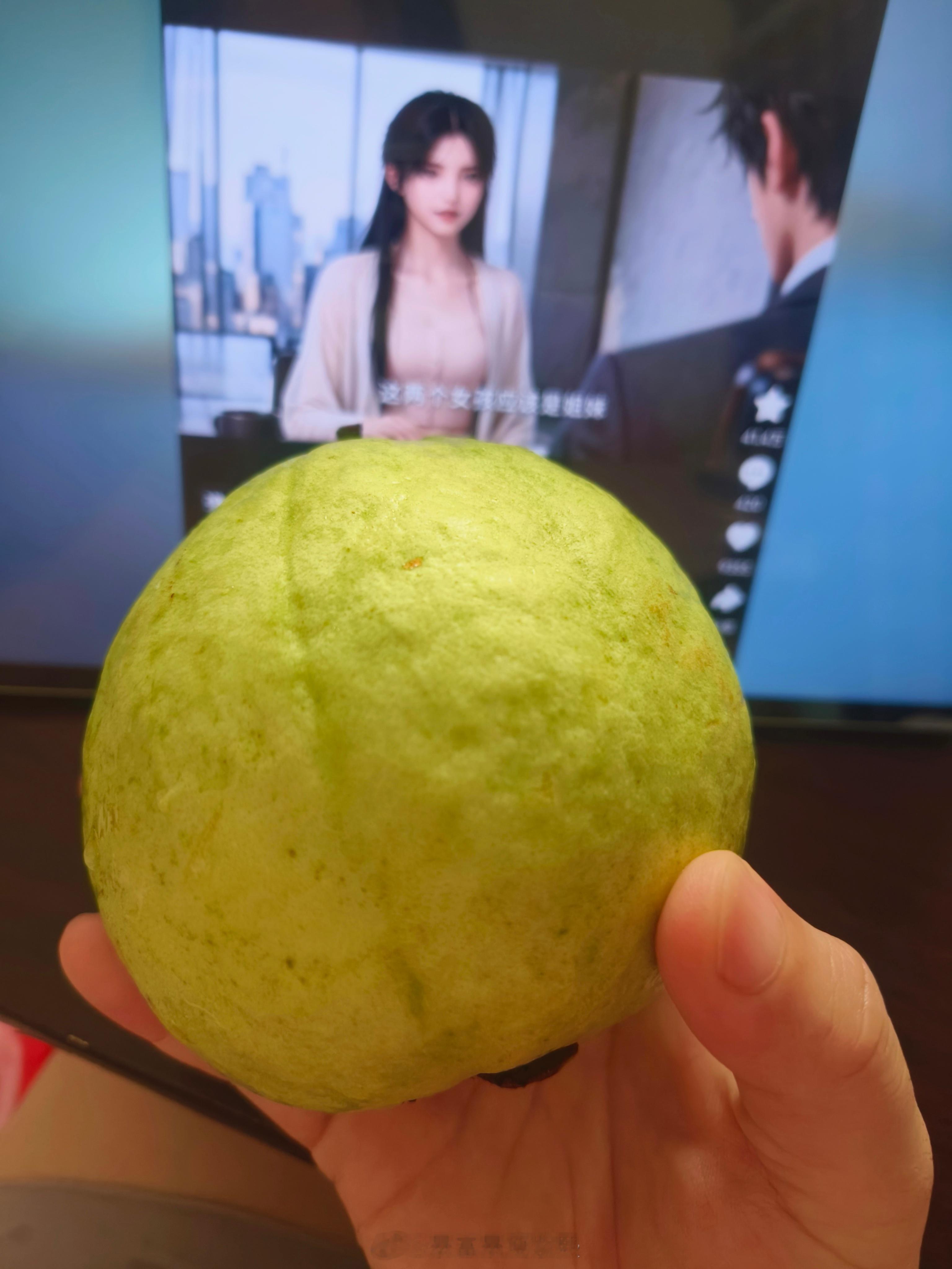 我有这么大个又脆又甜的番石榴，吃的真爽！！ ​​​
