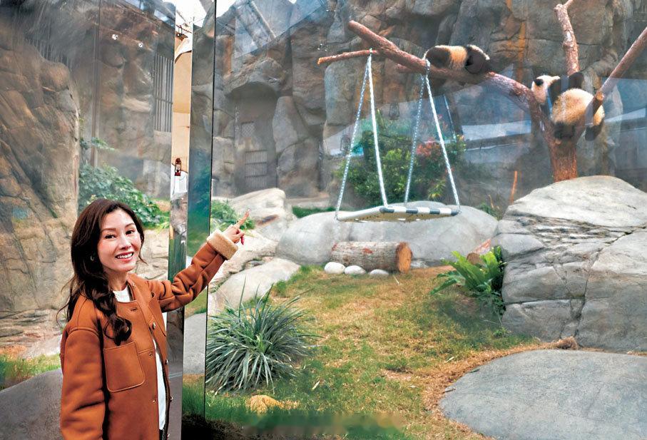 即时娱乐新闻   娱乐圈   香港小姐  「打卡龍鳳胎熊貓勁興奮..望辦慈善保育