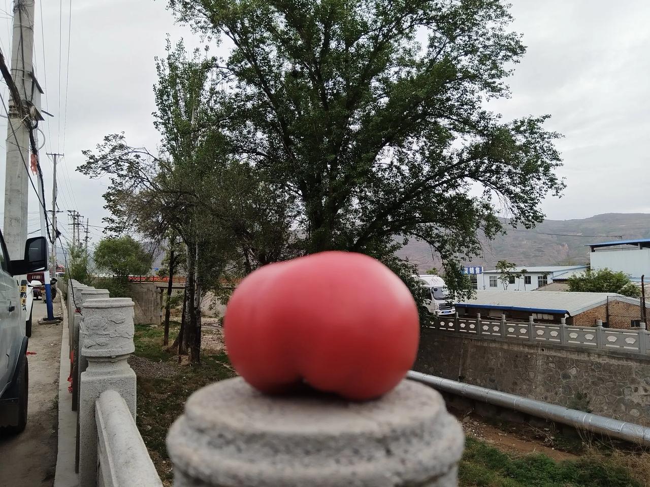 清晨🍅🍅🍅
麦积新阳镇区一角：
四周赶集的人们早早的就来了
一边聊着他们新