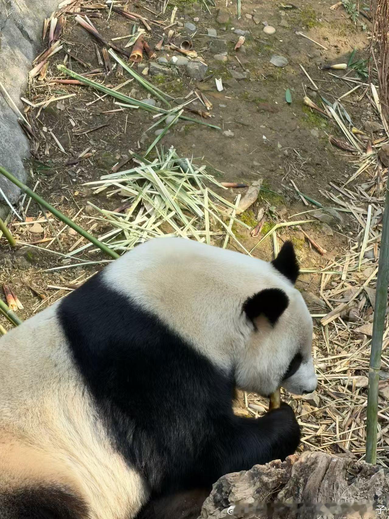 午餐时间到啦，干饭第一重要☝️ 