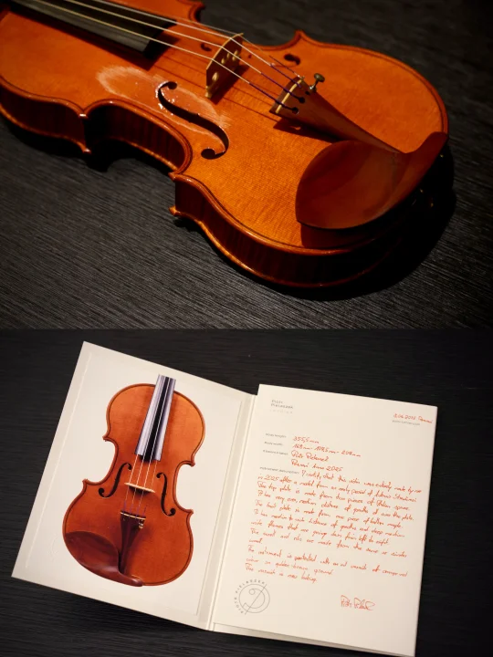 人生最美的一把小提琴与琴弓🎻感谢大A📈