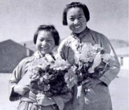 老外理解不了草原英雄小姐妹，认为村集体的384只羊丢了就丢了呗，等风雪停了再去找