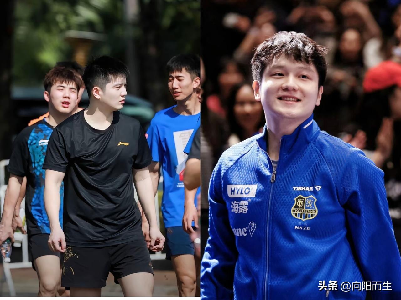 这事儿挺逗，
有人看我老发樊振东，
张嘴就是“为了蹭流量挣那一块五”！

说实话