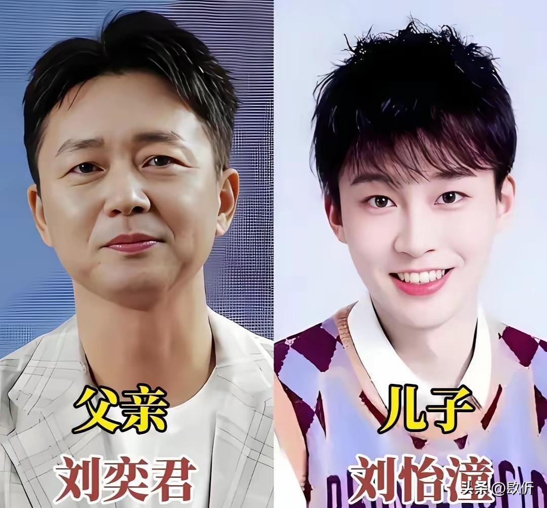 刘奕君刘怡潼、邵兵邵子恒、巍子王紫逸这些明星父子的合照，才发现基因真的会遗传
