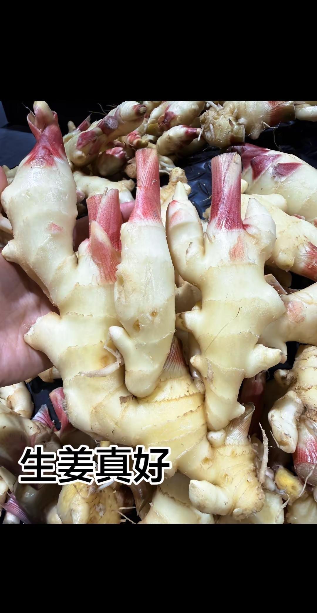 斯诺克世锦赛1/4决赛生姜。2吴宜泽13-8瓦菲，晋级四强！当8强的全员盯着赵心