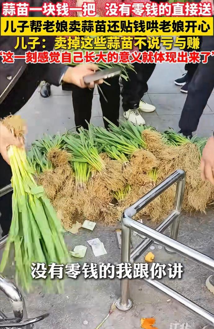 近日，安徽蚌埠，一老人自己种的蒜苗卖不出去，让儿子处理掉，儿子把蒜苗拉到街上来卖