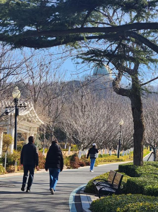 今年春天最大的心愿是身体健康，少病少痛和家人一道享受生活，观山玩水，登高望远。
