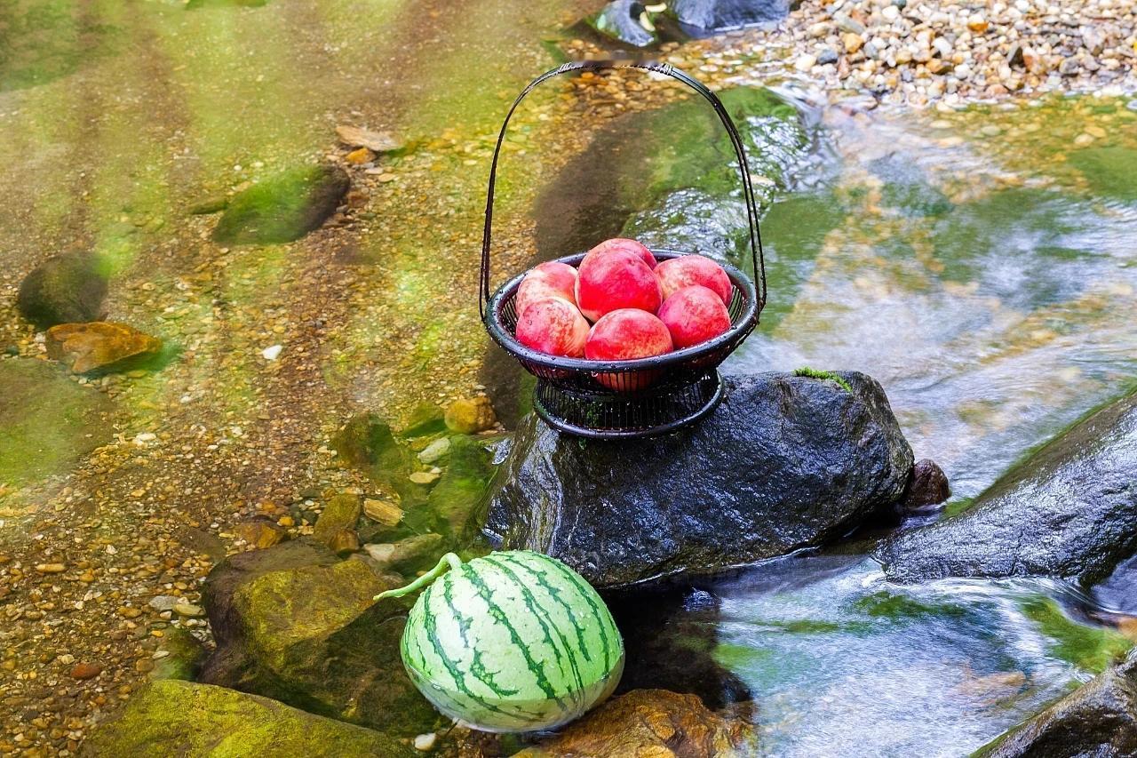 ®与诗词相依相伴ᵩ༓🎐
金缕衣
劝君莫惜金缕衣，
劝君惜取少年时。
花开堪折直