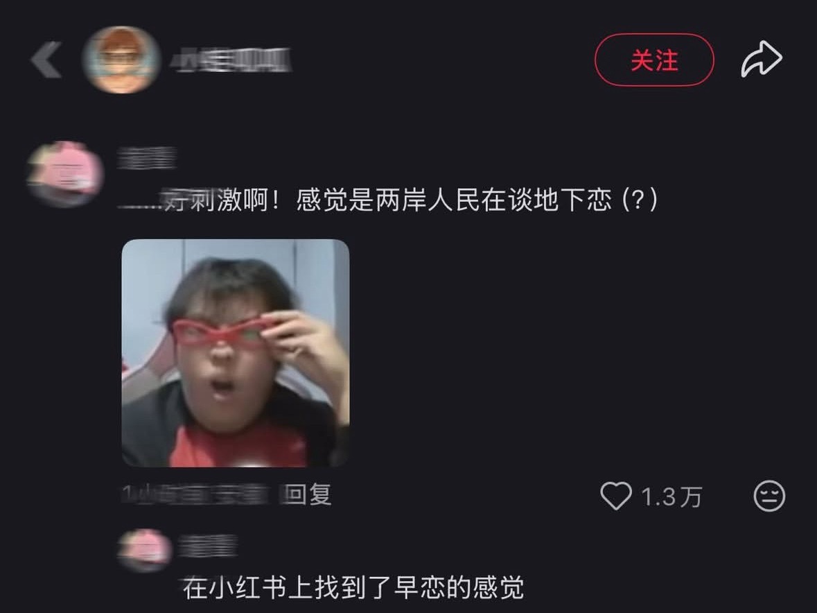 “感觉两岸人民在谈地下恋” 