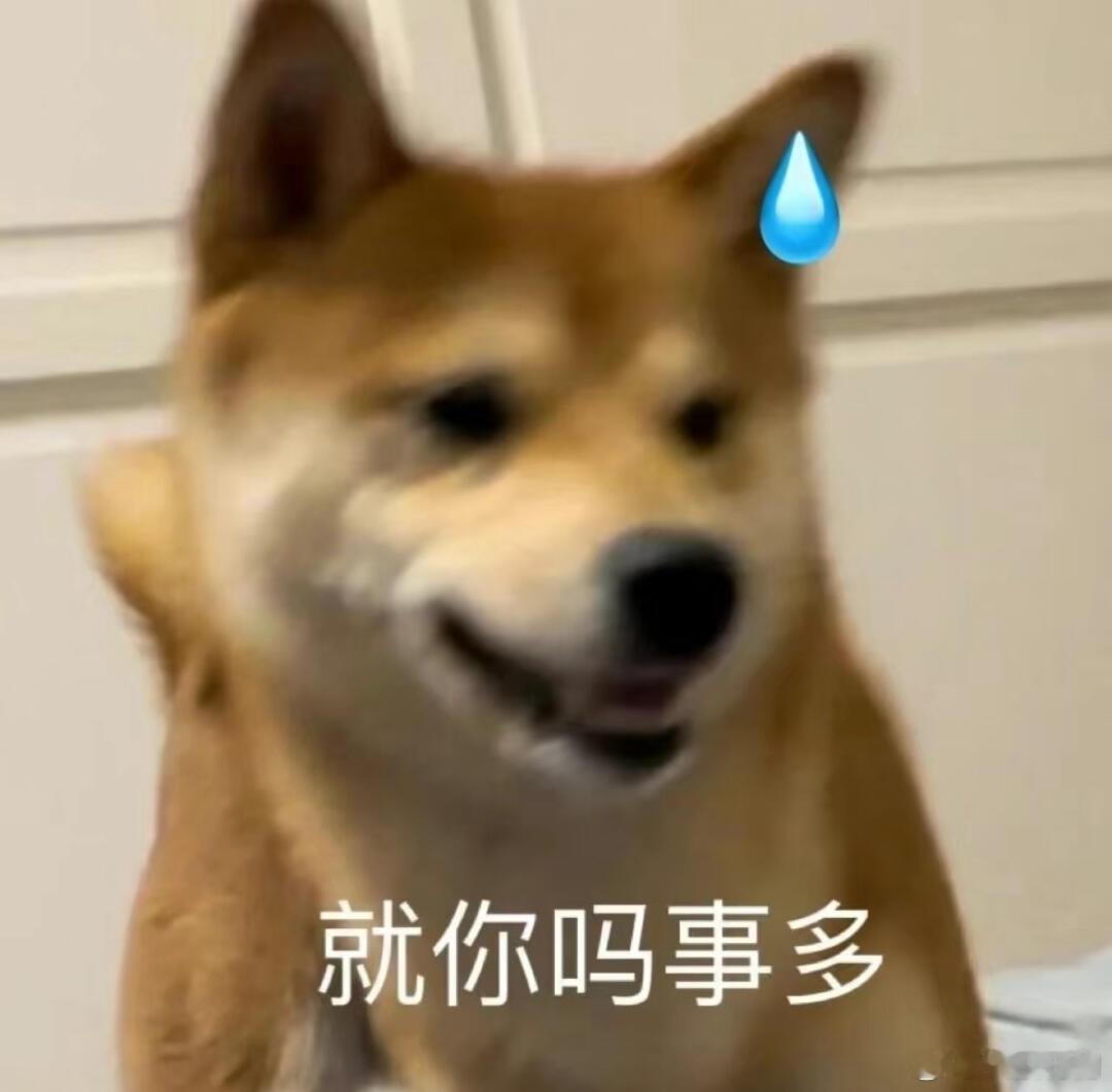 本周《去除“班味”计划》｜i人下班恢复能量📆 时间：这个周末｜地点：厦门·马銮