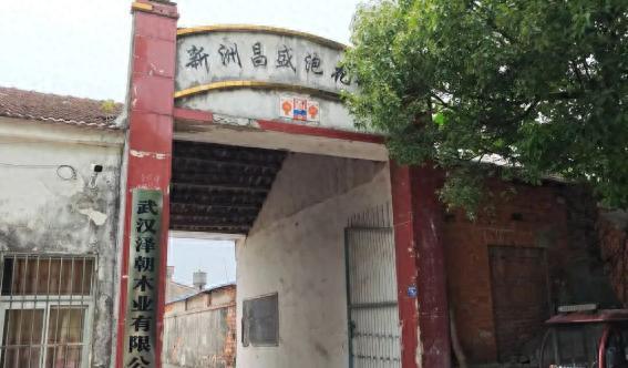 令人发指！武汉新洲一个仅585人的小村庄，沦为可怕的绝症重灾区，62人接连患上癌