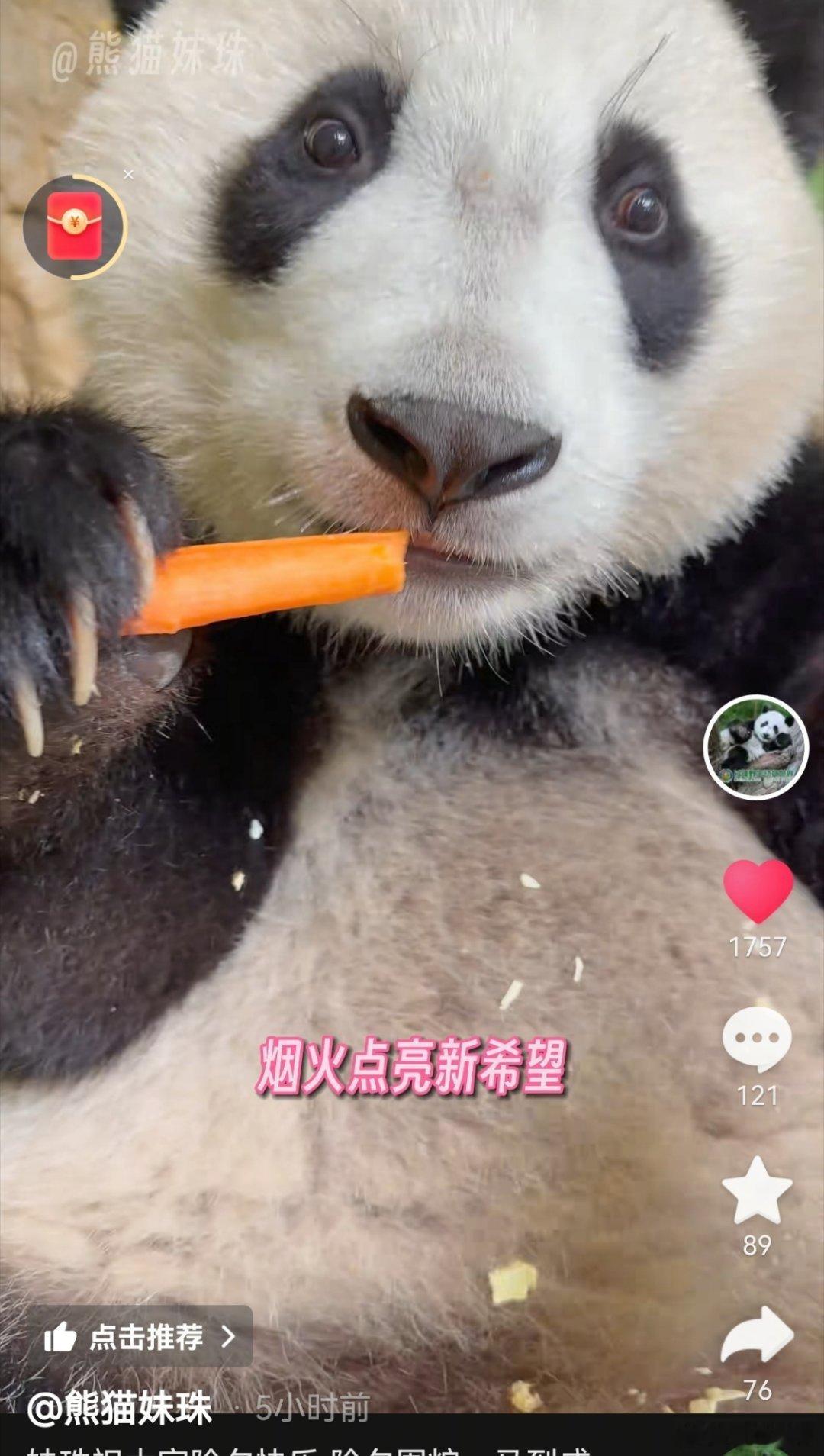 一前一后，好像把人挖过来……妹妹家的工作人员真是才华横溢妙语连珠…… 