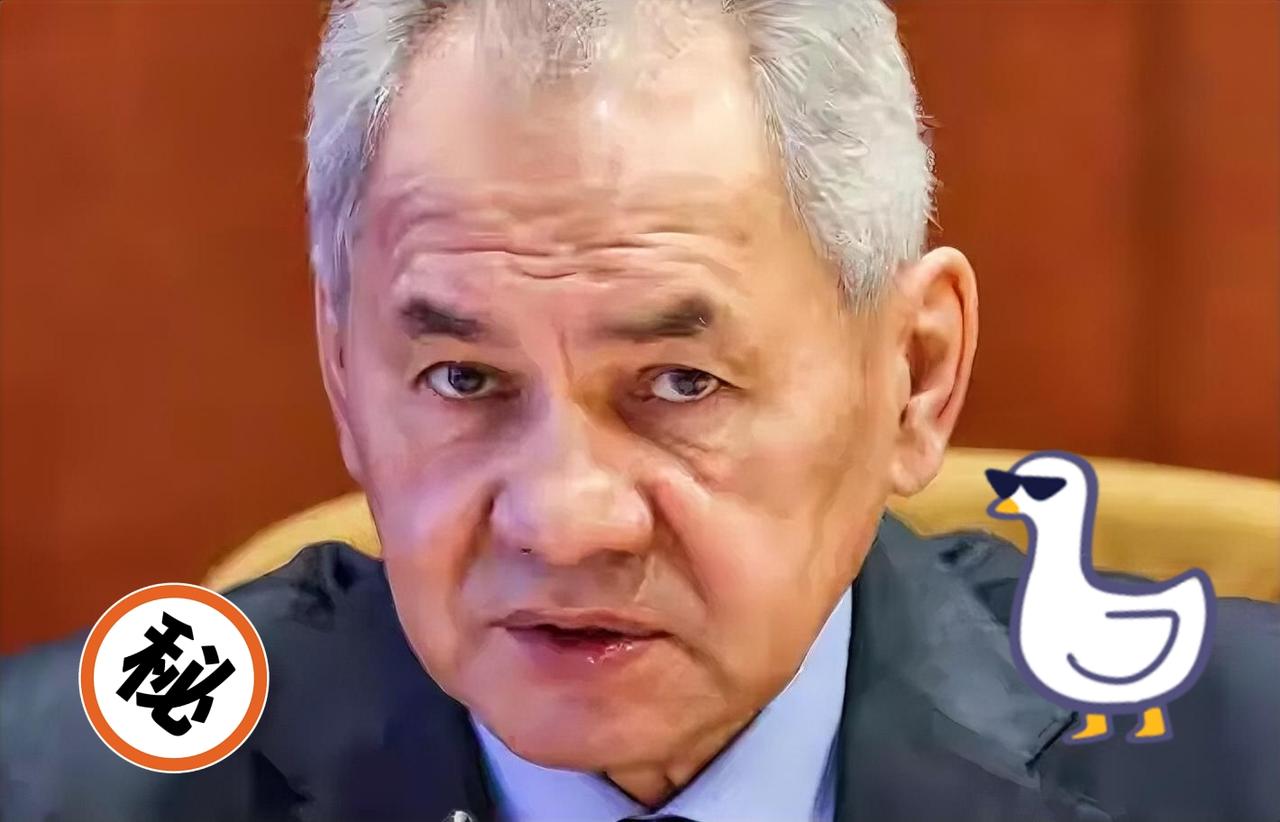 俄罗斯联邦安全会议秘书、前防长谢尔盖・绍伊古当地时间3月17日警告称，鉴于乌克兰