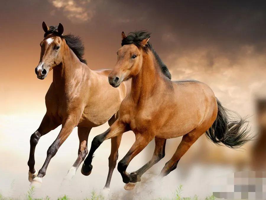 马年新入职员工地生僻名字，在公司闹出不小笑话 .

原本寻常的例会点名，竟成了全