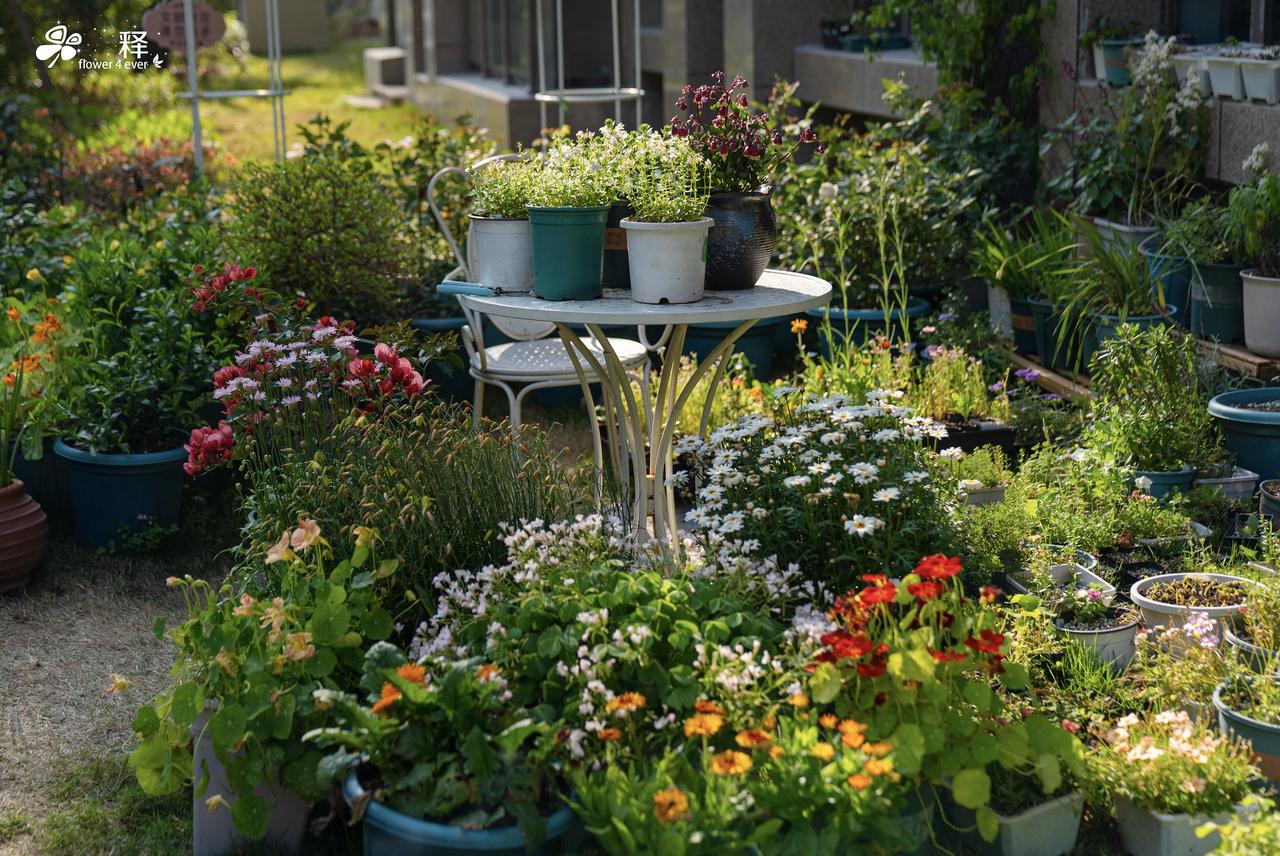 房价低的地方，人的幸福指数特别高，我这边连做卫生的阿姨都买得起房。
这边二手房便