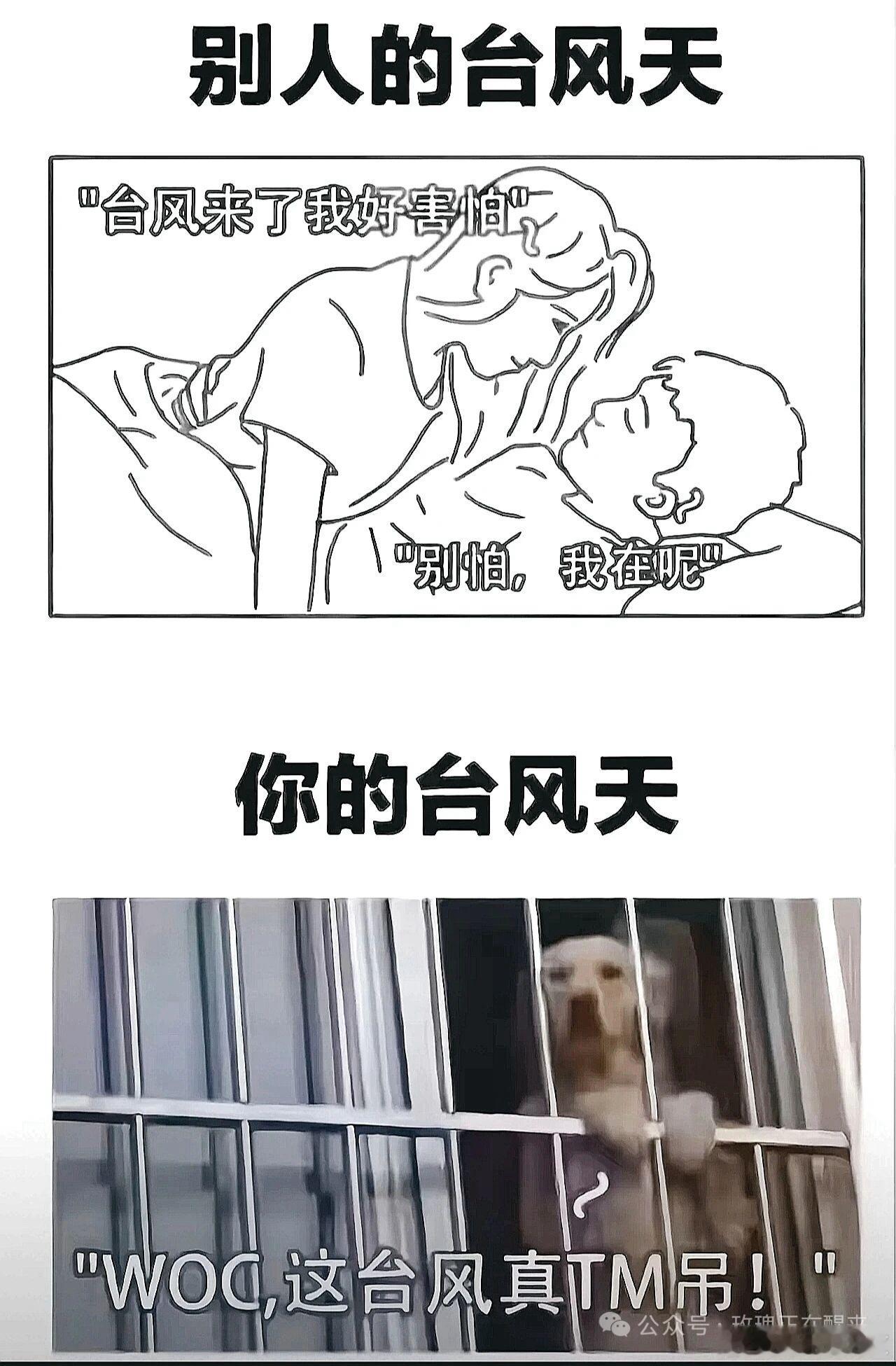 白海豚别人的台风天，和你的台风天 