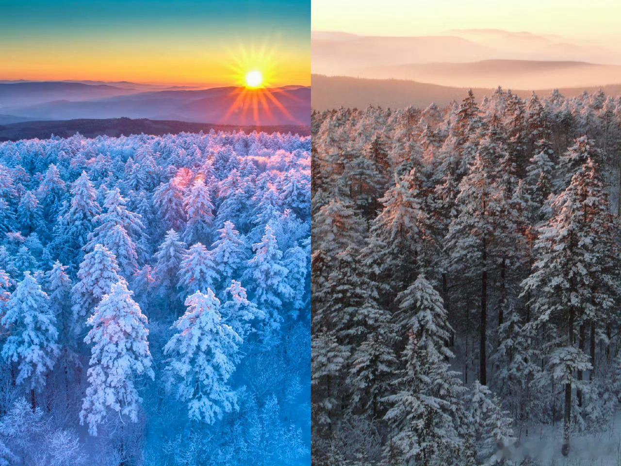 林都伊春冰封秘境 伊春冬日太会了！小兴安岭雪落枝头，雾凇长廊、林海雪原绘就北国风