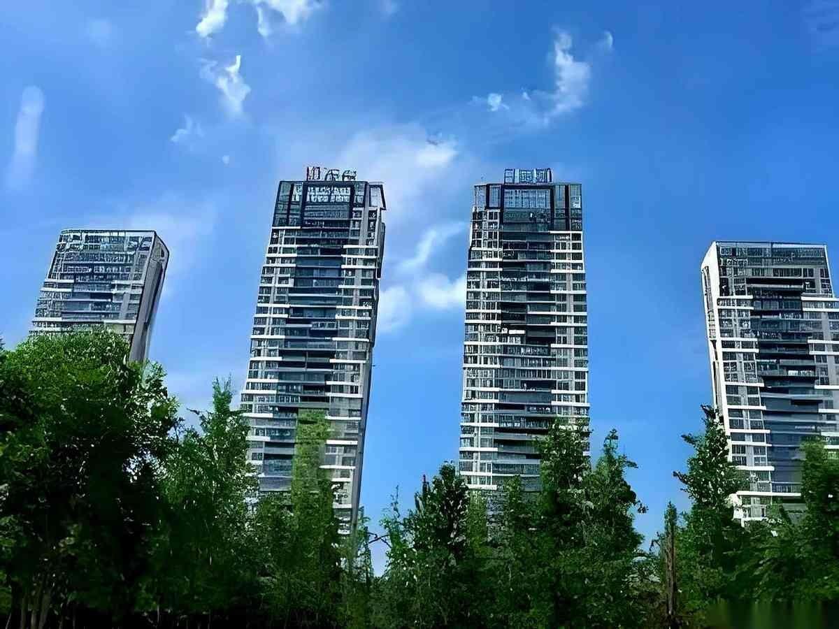 上海直接捂了七万张嘴，长沙按住敢说“恶意降价”的。 
这操作，哪是什么经济学原理