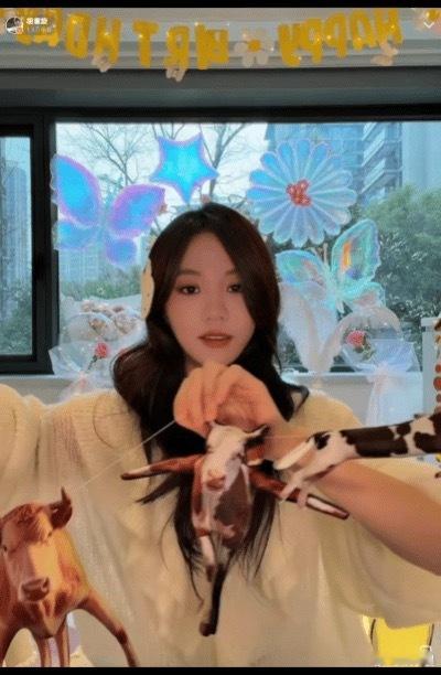 胡意旋领了一排牛直播胡意旋是懂宠粉的！粉丝让回云南放牛，直接把牛牵到直播间，连老