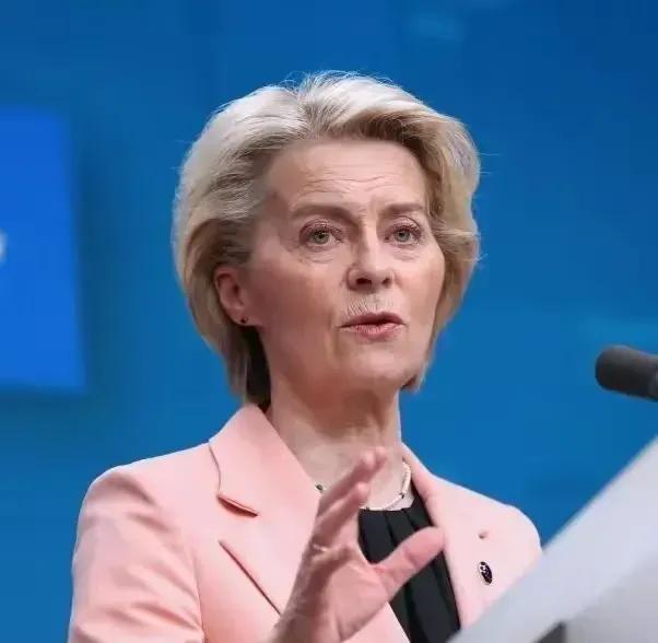 德国总理默茨计划提名冯德莱恩为2027年德国总统候选人，如果冯德莱恩当选德国总统