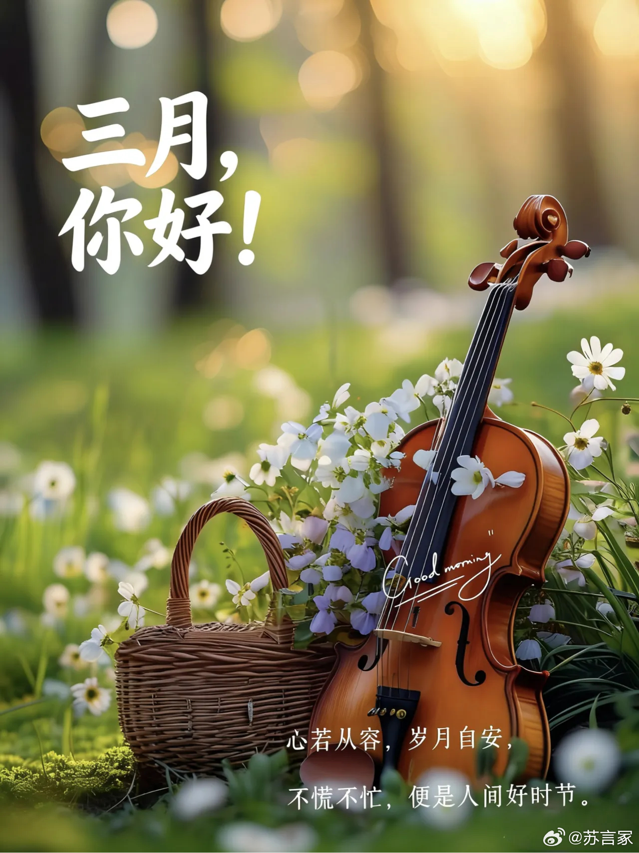 二月再见三月你好花开向暖万事可期所有美好如期而至🌻🌻🌻 