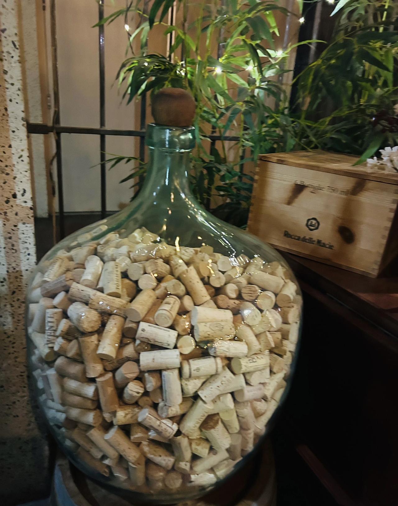 谁认识这两样东西，看你能说出名字来吗？