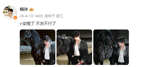 杨洋回应变橙v杨洋 v变橙了 哈哈哈哈哈哈哈 