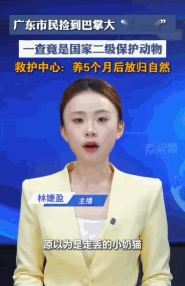 一顿家常饭的工夫，心软可能变成“犯法”。5月25日，广州日报报道了广东肇庆一件让