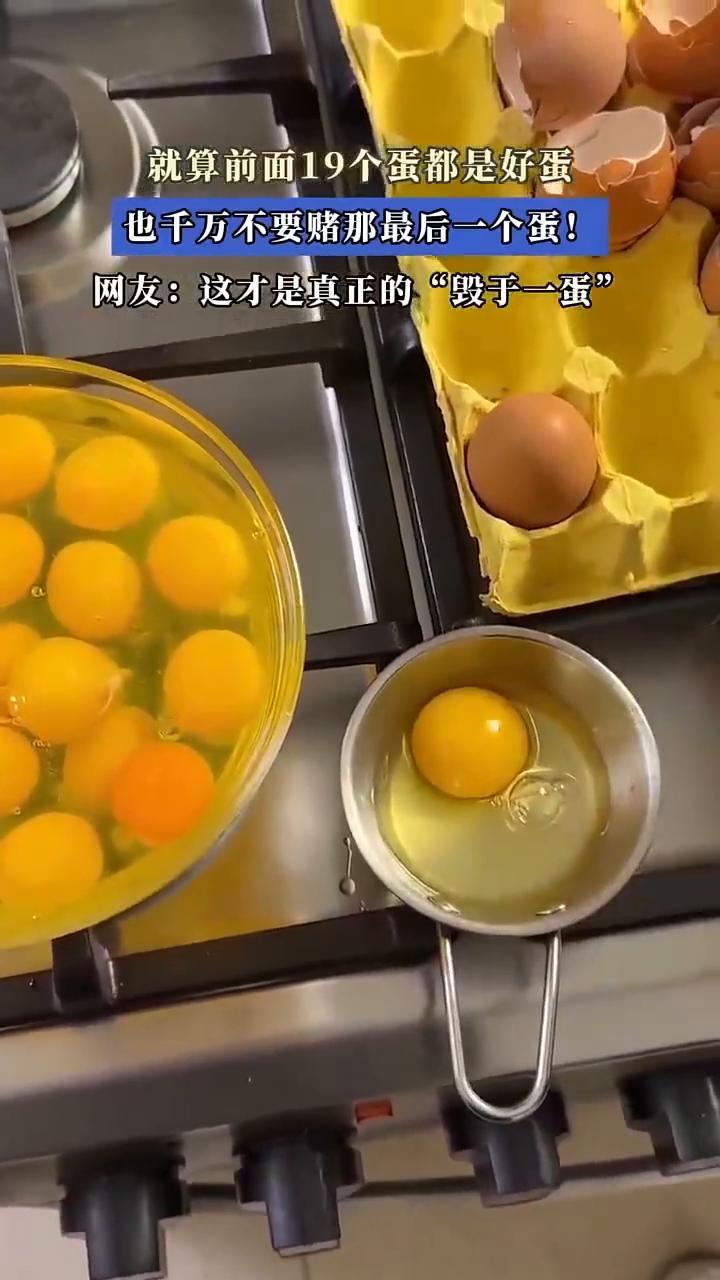 就算前面19个蛋都是好蛋，也千万不要赌最后一个蛋。网友：这才是真正的"毁于一蛋"