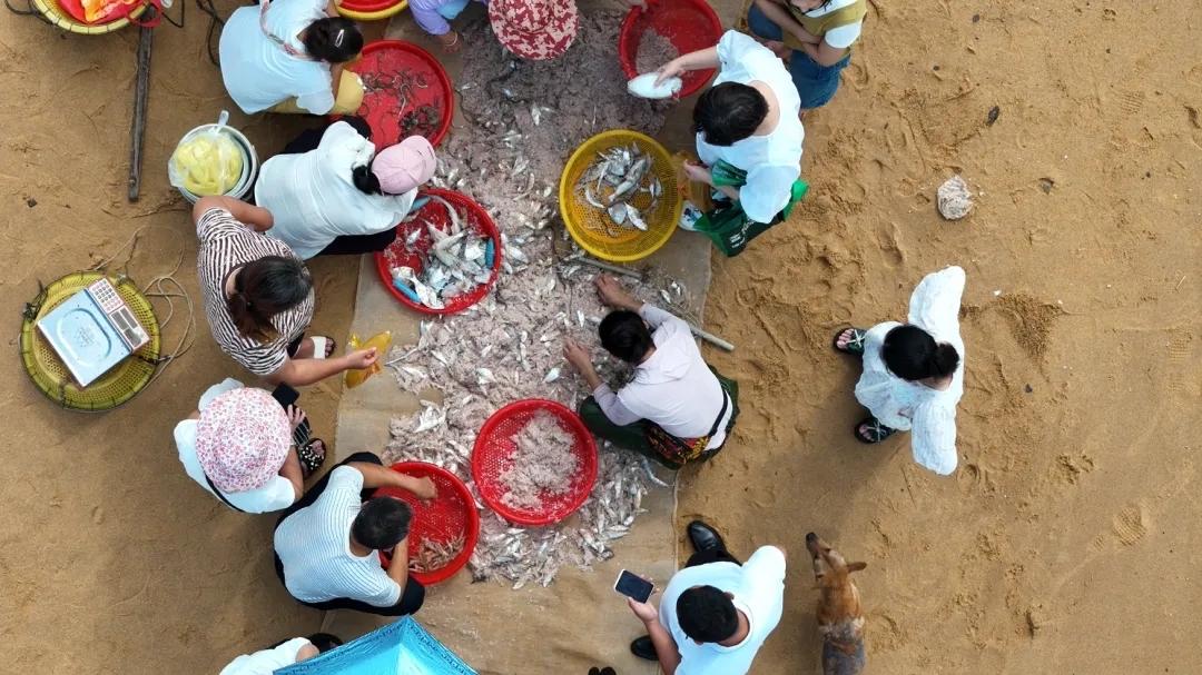 现在在海南买海鲜🦞可太划算了！

听渔民邻居说，开海后第一批600艘小渔船下海