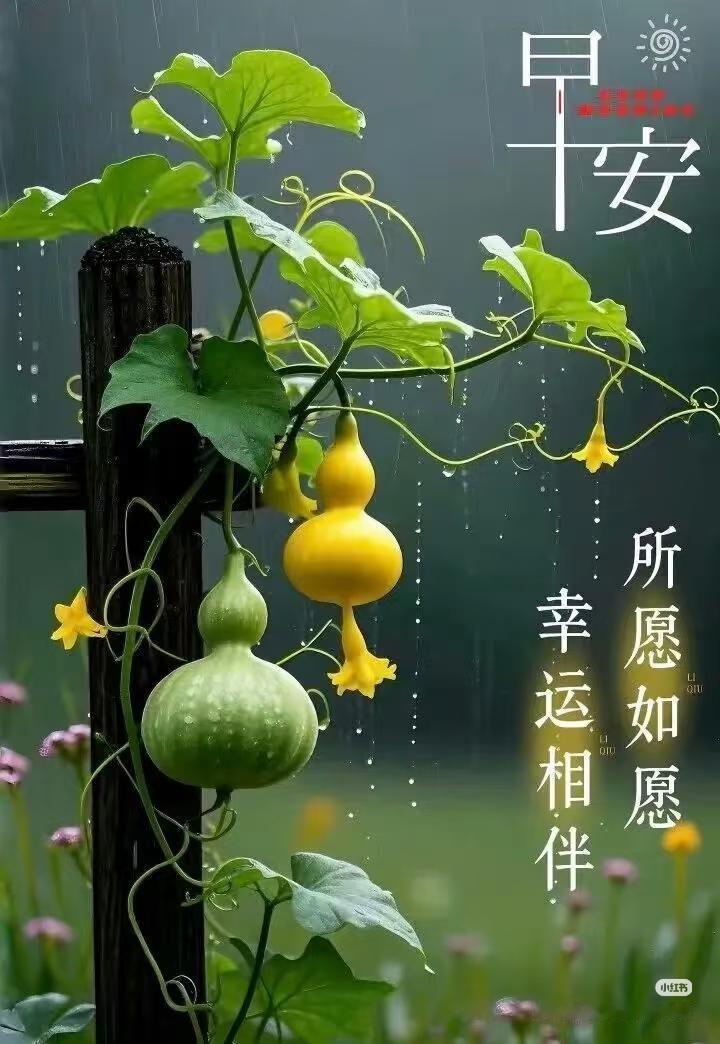 早上好，今天是9月2日星期三。
按照中国排协公布的日程安排，中国女排从8月31日