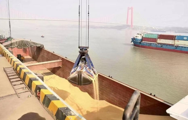 中国拒绝阿根廷30万吨大豆！DNA检测发现重大疑点，美国这下功亏一篑。2025年