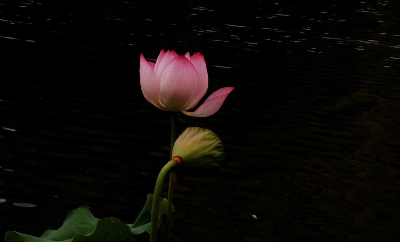 【热评】见义勇为不需承担法律责任
小伙救人按断女子6根肋骨收到谢谢

江苏苏州张