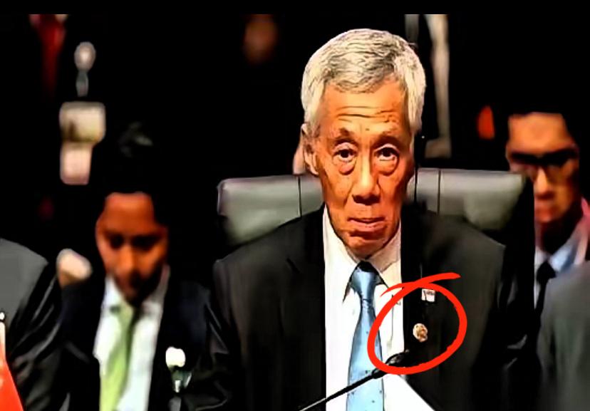 海南洋浦港藏不住了！
新加坡躺赚几十年，
这次遇到真对手！

新加坡靠着马六甲海