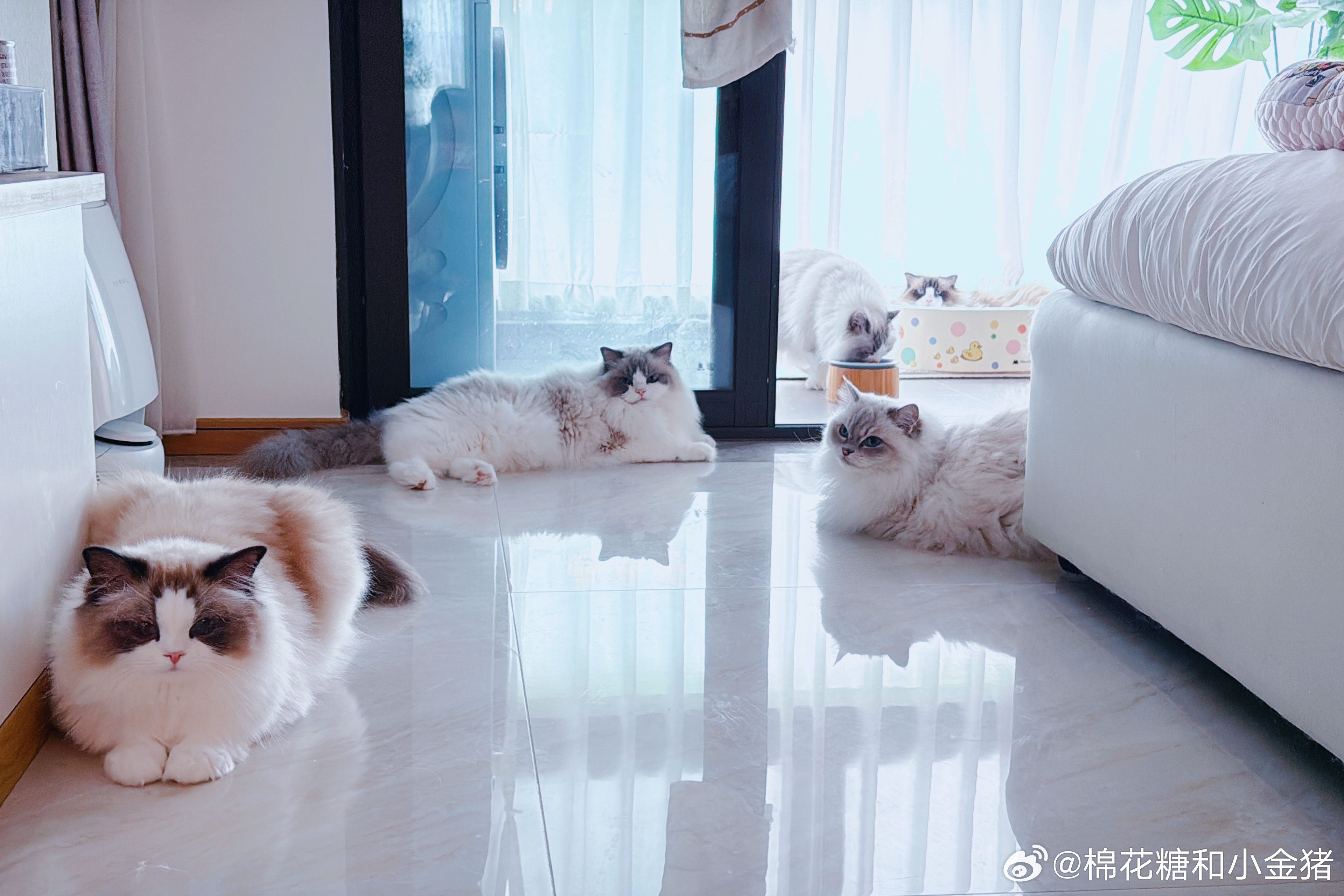 ☁️：我吃吃吃！ 