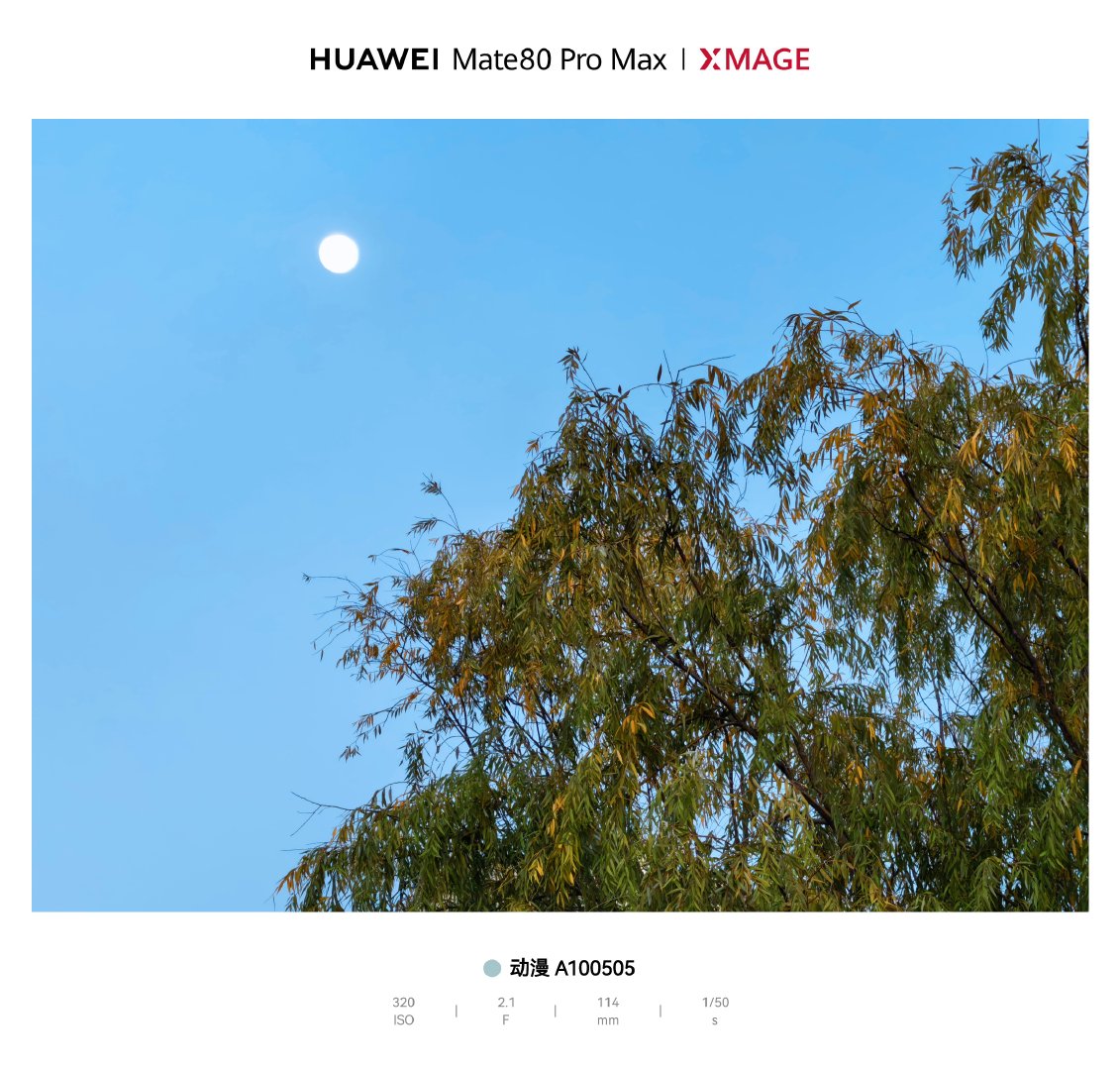 随手拍～可靠的mate华为mate80华为