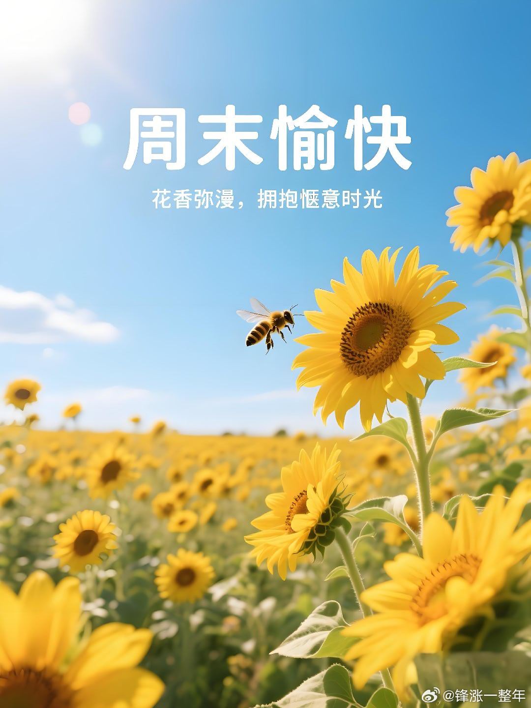 早安周末愉快 