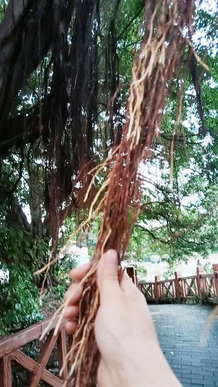 玩法合伙人计划 情绪音乐玩法新风向