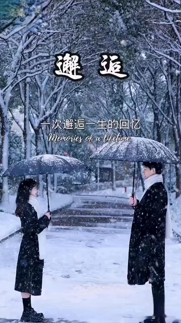 《如果》
如果能相遇
我期待是明媚的春天
你的身影英姿挺拔
如果能相识
我期待在