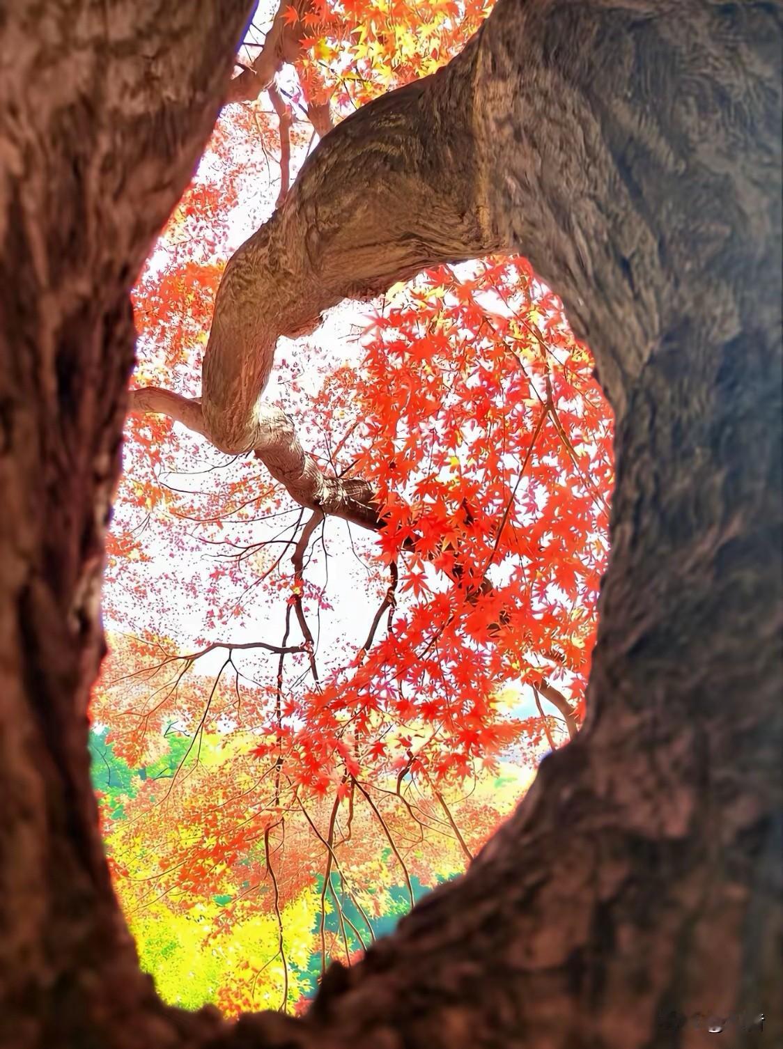 创作文章不是发的多就好，更加不是有些人所说的那样，东边不亮西边就会亮！

而是要