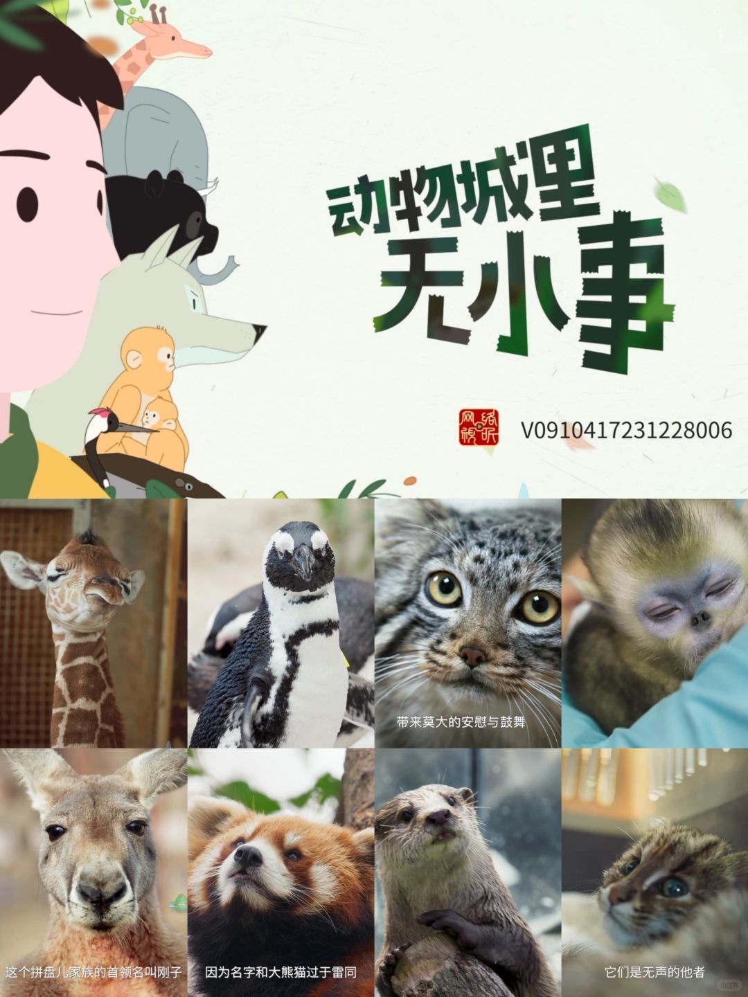 可爱炸了！马上满分💯！动物城里的暖心事